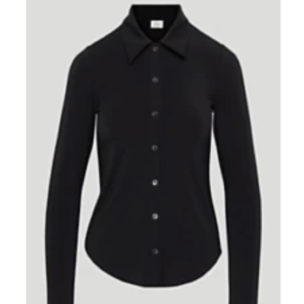 Aritzia Wilfred Pose Shirt